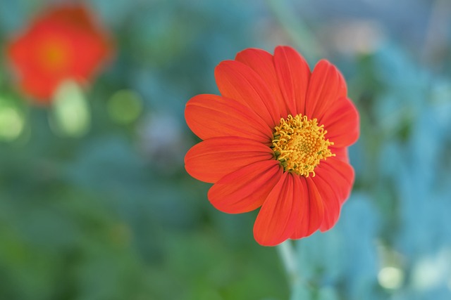 为球队注入 为球队注入