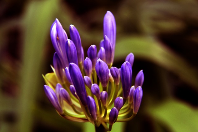 从而逐步累 从而逐步累