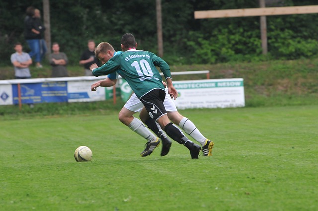 真正的问题 真正的问题