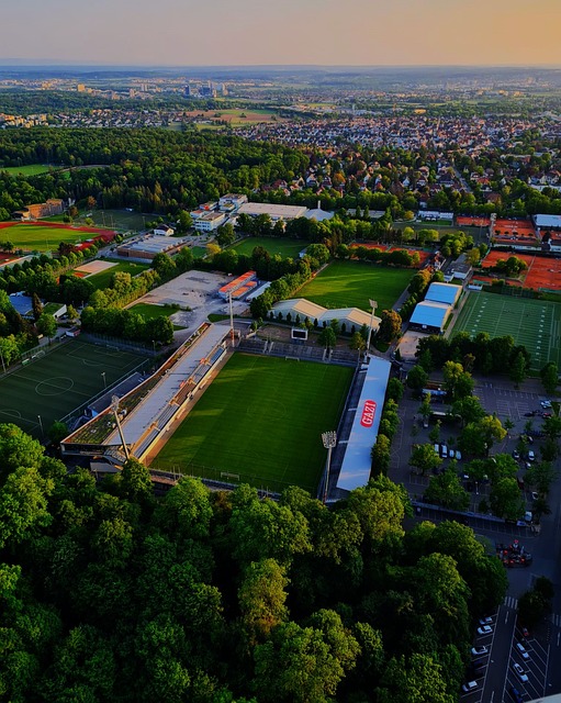 星利拉德的 星利拉德的