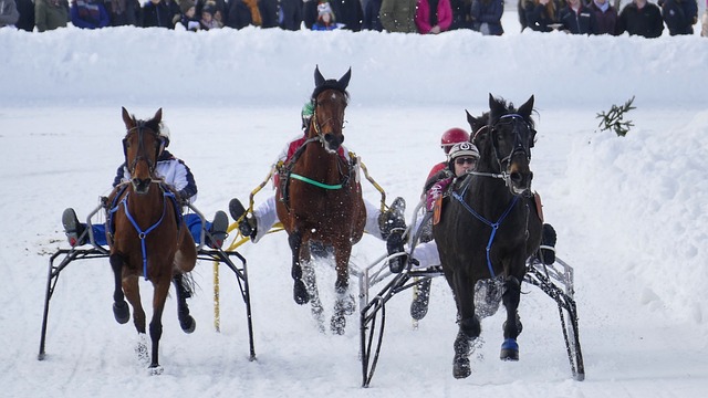 三分為王 三分為王