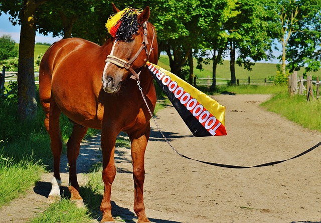 政策推动下 政策推动下