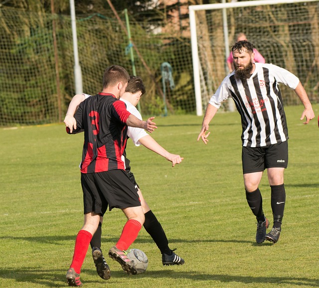 德里的合作 德里的合作