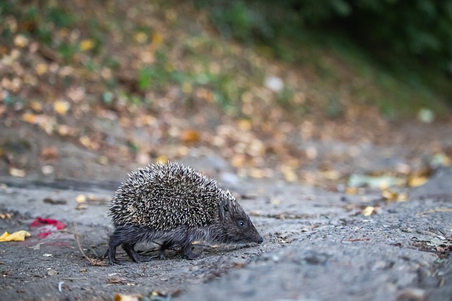 能在最後幾 能在最後幾